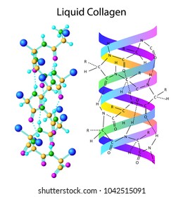 Vector illustration with liqid collagen formula isolated