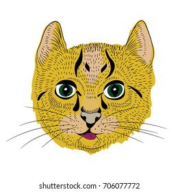 Vector illustration of little cat with long whiskers on white background