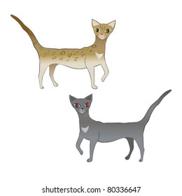 Vector illustration little cats