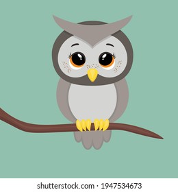 Vector illustration of a little cute owl.  Small pretty owl on a brown branch. Funny bird. Gray backround. Orange eyes. 