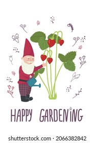 Vector illustration of little garden gnome. Cute cartoon gnome with garden fun decor, gnome watering strawberries with lettering Happy Gardening
