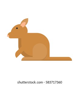 Vector illustration of a little kangaroo on white background. Animal topic.