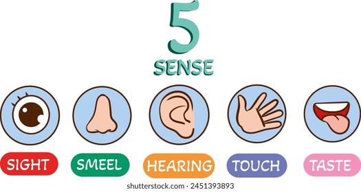 Vector illustration of little kids holding cards about 5 senses.Vector illustration of little children showing parts of the body