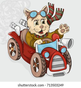 vector illustration little kitten rides by car