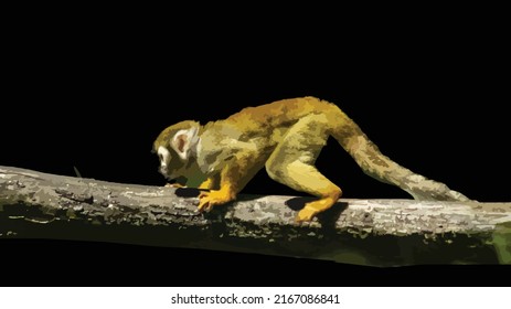 Vector illustration of a little monkey with golden fur frolicking on a branch. Little monkey crawling on a branch. Side view. Ape, monkey, wildlife, environment.