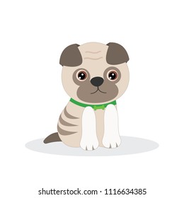 Vector illustration- little pug. A cute puppy on white background in cartoon style.