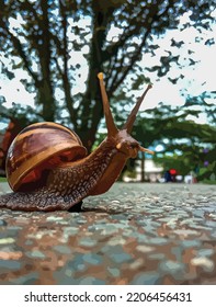 vector illustration: little snail in a garden