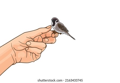 1,841 Birds sitting on fingers Images, Stock Photos & Vectors ...