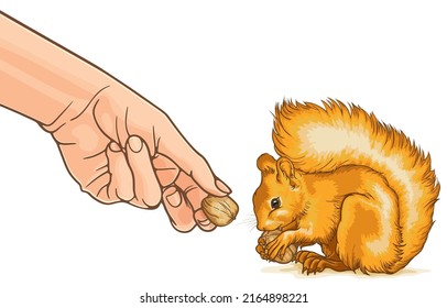 hand feeding animals cartoon