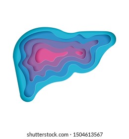 Vector Illustration Of The Liver Done In 3D Origami Paper Cut Style. Modern Illustration For The Medicine, Health Care And Anatomy Theme.