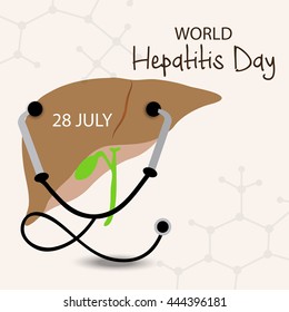 Vector illustration of a Liver with Stethoscope for World Hepatitis Day.