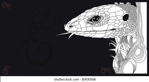 Vector Illustration of lizard on black graphic background