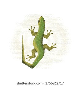Vector illustration of a lizard on a colored background with abstract ornament. Flat design.
