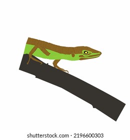 vector illustration of a lizard on a tree trunk