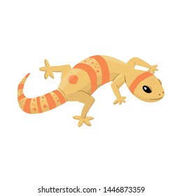 Vector illustration of lizard and reptile sign. Collection of lizard and original vector icon for stock.