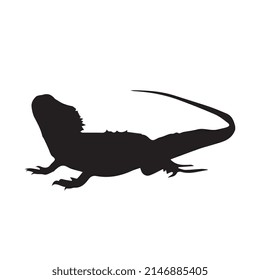 Vector illustration of lizard silhouette svg