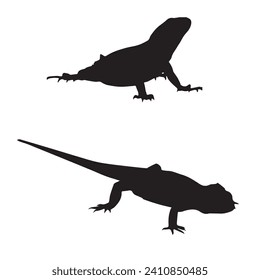 Vector Illustration of Lizard Silhouette