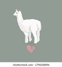 Vector illustration of a llama or alpaca back view. Cartoon style pastel colors. For design, postcards, packaging.