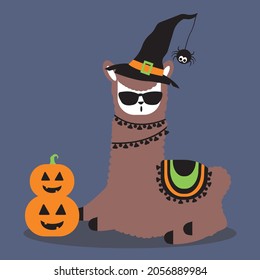 Vector illustration of a llama dressed in a witch's hat sitting next to some Halloween pumpkins. Llama is wearing black sunglasses and hat