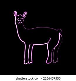Vector illustration of llama with neon effect.