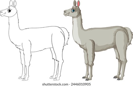 Vector illustration of a llama, outlined and colored