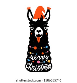 Vector illustration with llama in red hat, colored garland and lettering wish Merry Christmas. Holiday greeting card template, apparel and sticker print design with animal