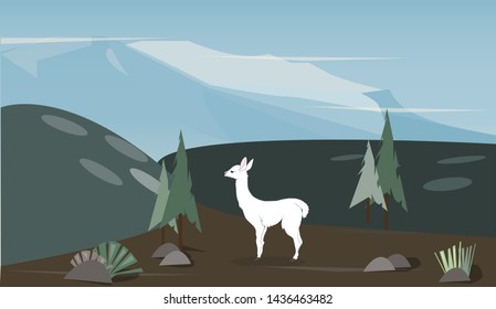 vector illustration of a llama that stands in nature, vector