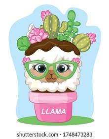 vector illustration of a llamas between the cactus and the vase. summer llama with eyeglasses. cactus plant in a vase.