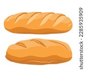 Vector illustration loaf of bread isolated on white background. Whole fresh baked bread. 