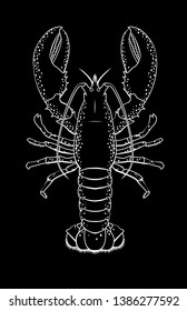 Vector illustration of a lobster in black and white chalk style