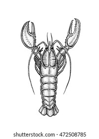 4,858 Lobster Outline Vector Images, Stock Photos & Vectors | Shutterstock