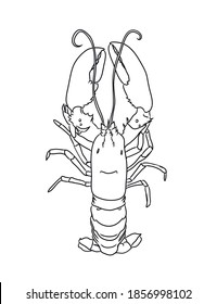 Vector illustration of a lobster. Linear lobster. Doodle style. Hand drawing. for cafes, restaurants, menus. Illustration on a white isolated background