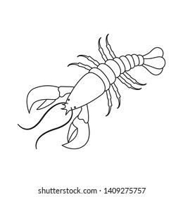 Vector illustration of lobster and red symbol. Set of lobster and atlantic stock vector illustration.