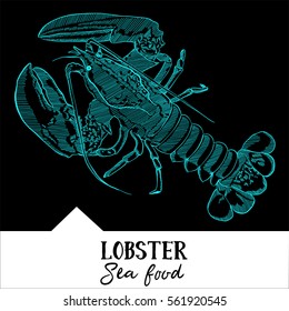 Vector illustration lobster for a seafood menu
