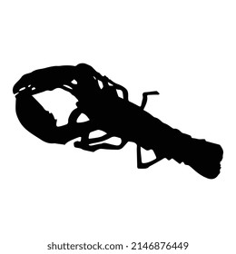 Vector illustration of lobster silhouette