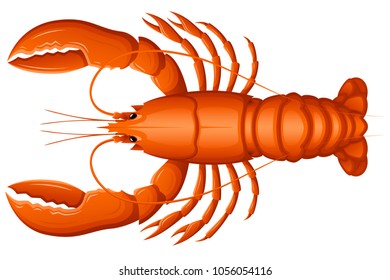 Vector illustration of a lobster, viewed from above. 