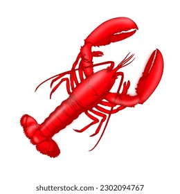 Vector illustration of a lobster, viewed from above