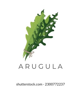 Vector Illustration Logo A Bunch of Arugula Vegetables