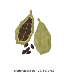 Vector illustration logo Clip art Cardamom pods and seeds