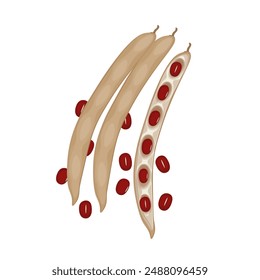 Vector illustration logo Clip art Red adzuki azuki beans Or red bean