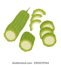 Vector Illustration Logo Clip Art Set of a Bitter Melon or Bitter Gourd Slice