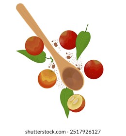 Vector Illustration Logo Clip art Camu Camu berry and Powder on a Wooden Spoon 
