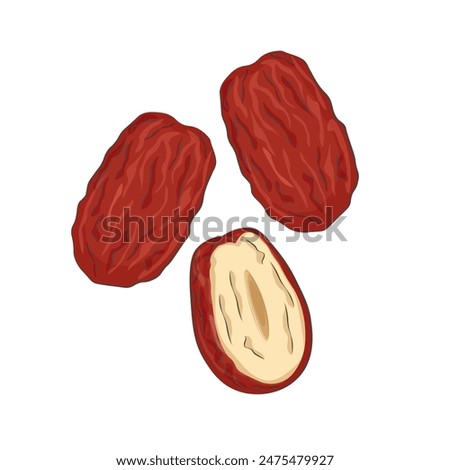 Vector illustration logo Clip art dried red dates or jujube 