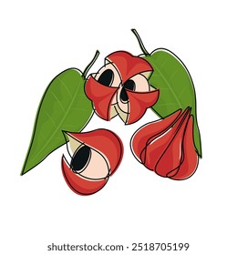 Ilustración vectorial Logo Clipart Dibujos Animados Superfood Guaraná frutas