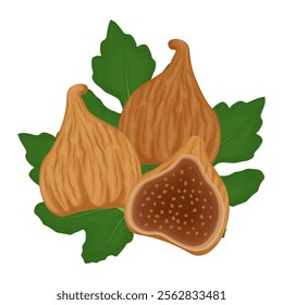 Vector Illustration Logo Clipart dried figs