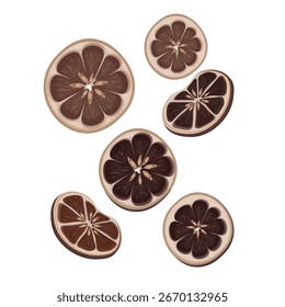 Logo de Ilustración vectorial Clipart Secado de rodajas de limón o rodajas de limón secas