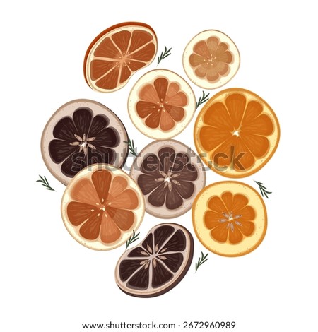 Vector Illustration Logo Clipart Dried Oranges and Lemons