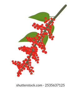 Logo de Ilustración vectorial Clipart Fresco Rojo Peppercorns Frutas Negro Pepper Plant