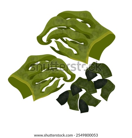 Vector Illustration Logo Clipart Fresh and Dry Wakame Seaweed or laminaria