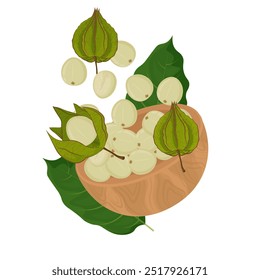 Vector Illustration Logo Clipart Levitation Superfood Physalis 